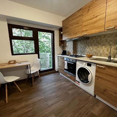 Central Studio Apartment Букурещ Екстериор снимка